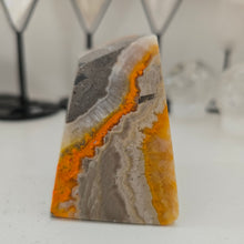 Load image into Gallery viewer, Bumblebee Jasper Freeform