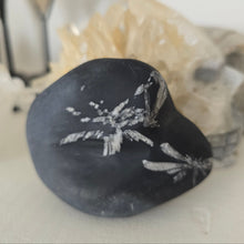Load image into Gallery viewer, Chrysanthemum Stone Palmstone