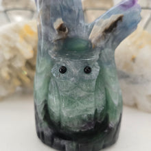 Load image into Gallery viewer, Fluorite Owl in Tree Stump