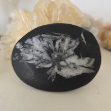Load image into Gallery viewer, Chrysanthemum Stone Palmstone