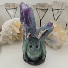Load image into Gallery viewer, Fluorite Owl in Tree Stump