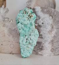 Load image into Gallery viewer, Botryoidal Chrysocolla