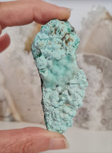 Load image into Gallery viewer, Botryoidal Chrysocolla