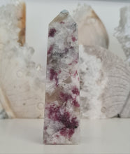 Load image into Gallery viewer, Plum Blossom Tourmaline Tower