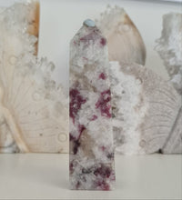 Load image into Gallery viewer, Plum Blossom Tourmaline Tower