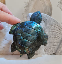 Load image into Gallery viewer, Labradorite Turtle