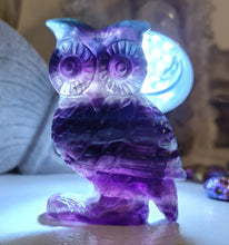 Load image into Gallery viewer, Rainbow Fluorite Owl