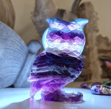 Load image into Gallery viewer, Rainbow Fluorite Owl