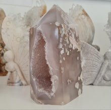 Load image into Gallery viewer, Dark Flower Agate with Druzy