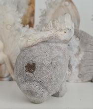 Load image into Gallery viewer, Quartz Cluster Skull