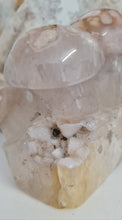 Load image into Gallery viewer, Flower Agate Mushrooms