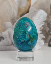 Load image into Gallery viewer, Chrysocolla Egg