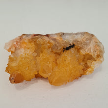 Load image into Gallery viewer, Citrine Spirit Quartz