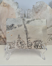 Load image into Gallery viewer, Picture Jasper Slab