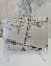 Load image into Gallery viewer, Picture Jasper Slab