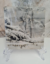 Load image into Gallery viewer, Picture Jasper Slab