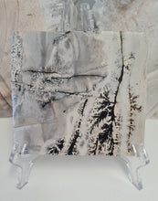 Load image into Gallery viewer, Picture Jasper Slab