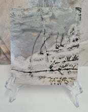 Load image into Gallery viewer, Picture Jasper Slab