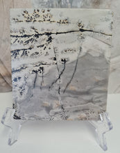 Load image into Gallery viewer, Picture Jasper Slab