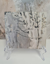 Load image into Gallery viewer, Picture Jasper Slab