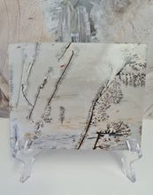 Load image into Gallery viewer, Picture Jasper Slab