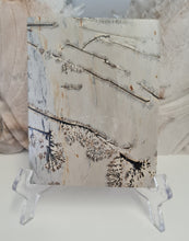 Load image into Gallery viewer, Picture Jasper Slab