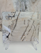 Load image into Gallery viewer, Picture Jasper Slab