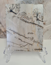 Load image into Gallery viewer, Picture Jasper Slab