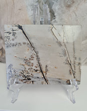Load image into Gallery viewer, Picture Jasper Slab