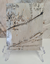 Load image into Gallery viewer, Picture Jasper Slab