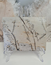 Load image into Gallery viewer, Picture Jasper Slab