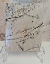 Load image into Gallery viewer, Picture Jasper Slab