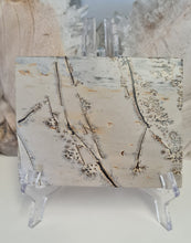 Load image into Gallery viewer, Picture Jasper Slab