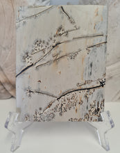 Load image into Gallery viewer, Picture Jasper Slab