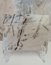 Load image into Gallery viewer, Picture Jasper Slab