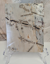 Load image into Gallery viewer, Picture Jasper Slab