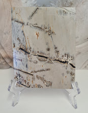 Load image into Gallery viewer, Picture Jasper Slab