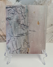 Load image into Gallery viewer, Picture Jasper Slab