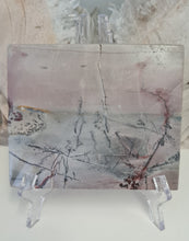 Load image into Gallery viewer, Picture Jasper Slab