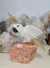 Load image into Gallery viewer, Gemstone Carved Cockatoo