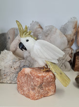 Load image into Gallery viewer, Gemstone Carved Cockatoo