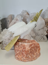 Load image into Gallery viewer, Gemstone Carved Cockatoo