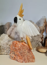 Load image into Gallery viewer, Gemstone Carved Cockatoo