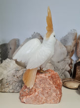 Load image into Gallery viewer, Gemstone Carved Cockatoo