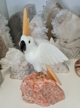 Load image into Gallery viewer, Gemstone Carved Cockatoo