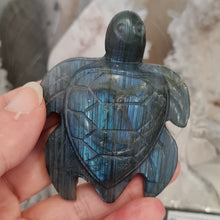 Load image into Gallery viewer, Labradorite Turtle