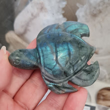 Load image into Gallery viewer, Labradorite Turtle