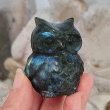 Load image into Gallery viewer, Labradorite Owl