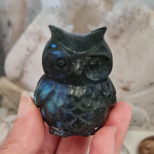 Load image into Gallery viewer, Labradorite Owl