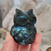 Load image into Gallery viewer, Labradorite Owl